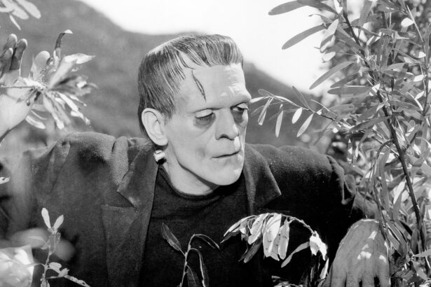 Frankenstein
