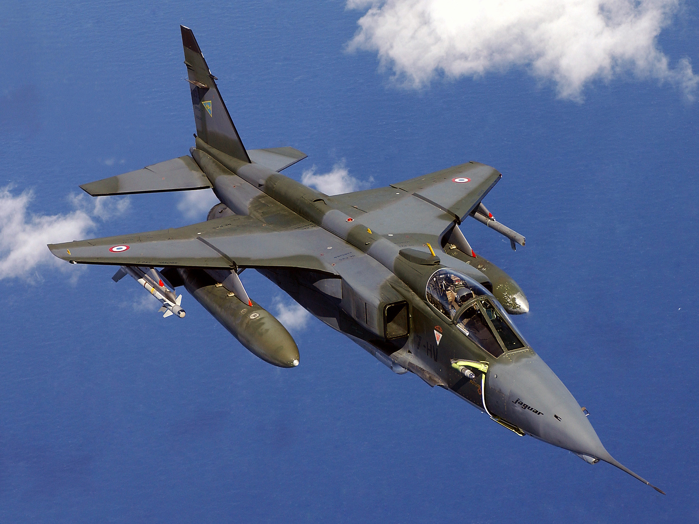 Jaguar Fighter Jet