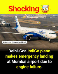 indigo flight