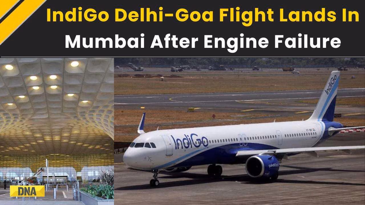  indigo flight