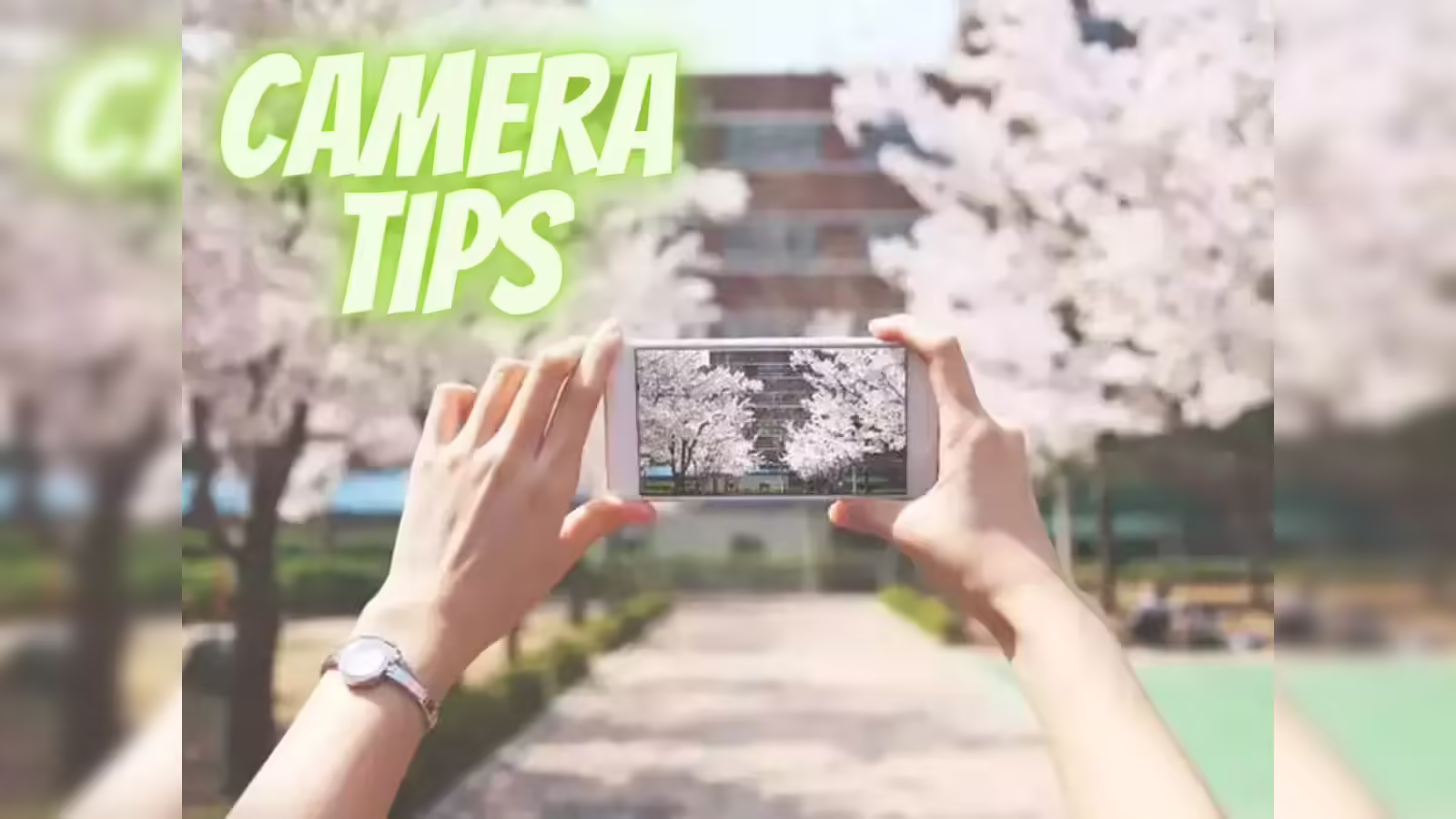 15 Best Mobile Photography Tips for Beginners 