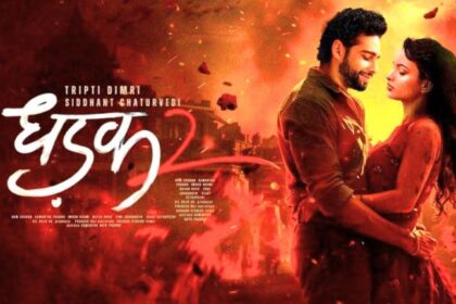 Dhadak 2