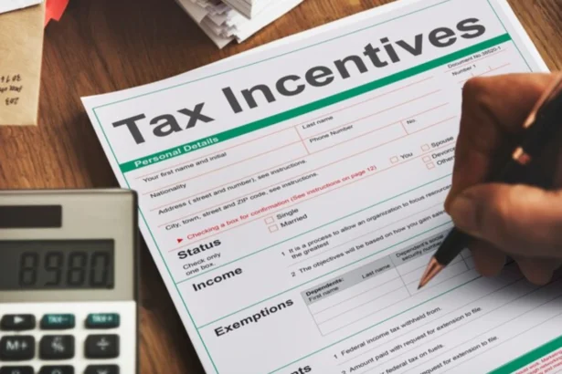Income Tax Return (ITR) 2025
