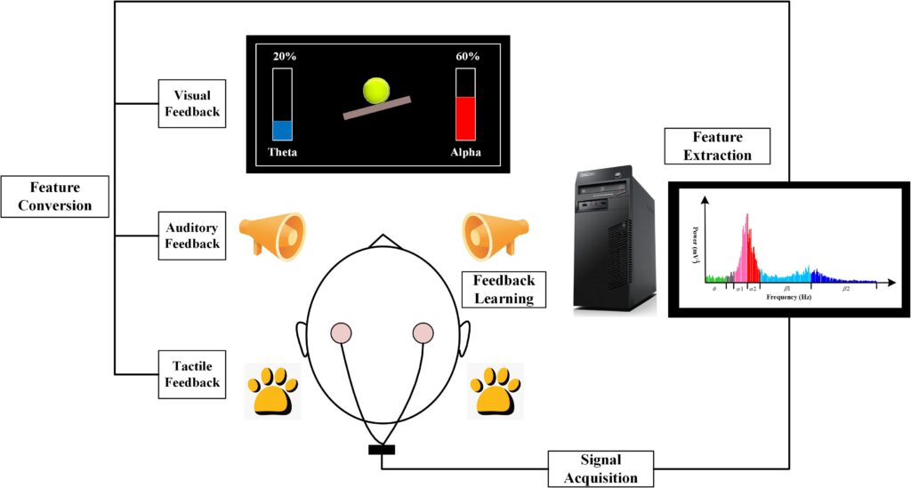 Neurofeedback Training in Cricket and Kabaddi 2025