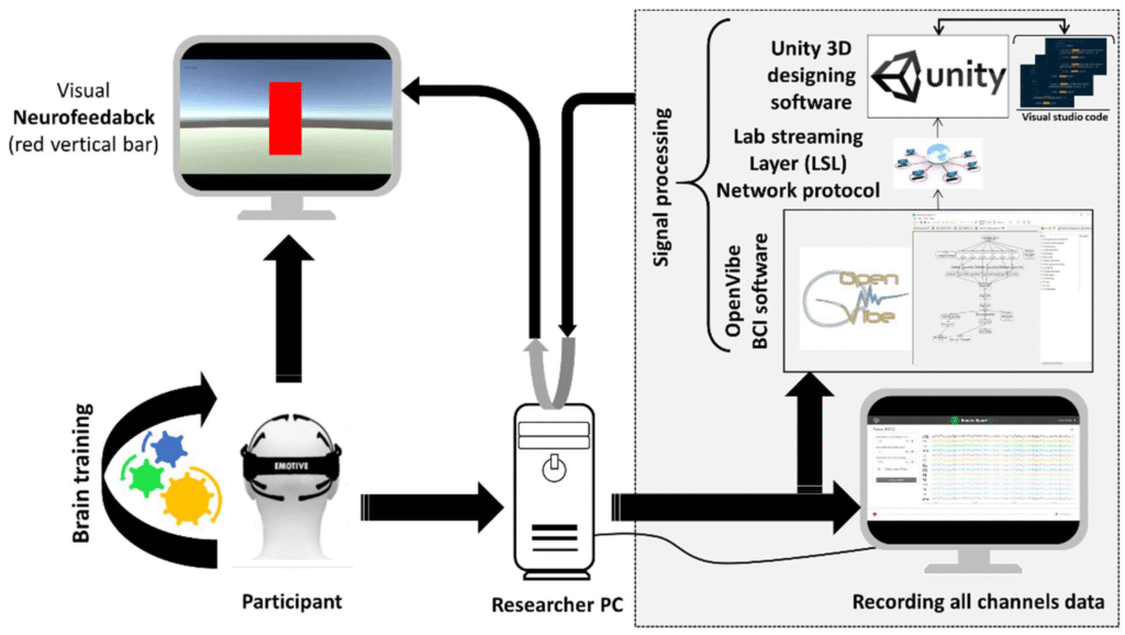Neurofeedback Training in Cricket and Kabaddi 2025