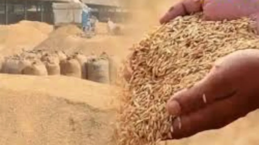 Uttar Pradesh Dhaan Kharid 2025-26 में अब तक 1.37 लाख से अधिक किसानों ने पंजीकरण करा लिया है 3 Uttar Pradesh Dhaan Kharid 2025-26